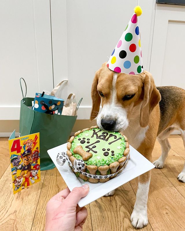 dog birthday