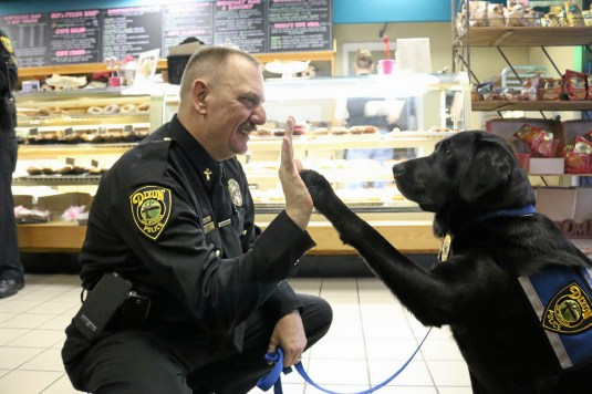 Dixon and Winters Police Chaplain Robert Duvall high-fives his partner Kepi. Duvall believes she is the first dog of her kind in the state working specifically on crisis intervention and compassion for law enforcement and first responders.
Sally Schilling — The Reporter