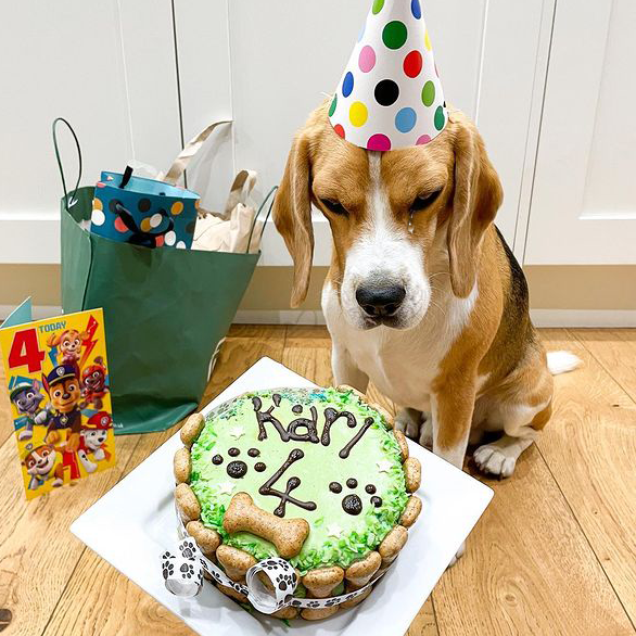 dog birthday