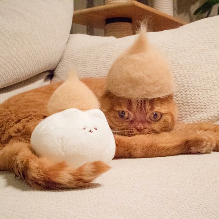 Cat wearing a tiny hat made by Umatan and Rojiman