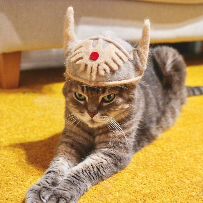 Cat wearing a tiny hat made by Umatan and Rojiman